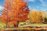 Autumn Landscape_29423